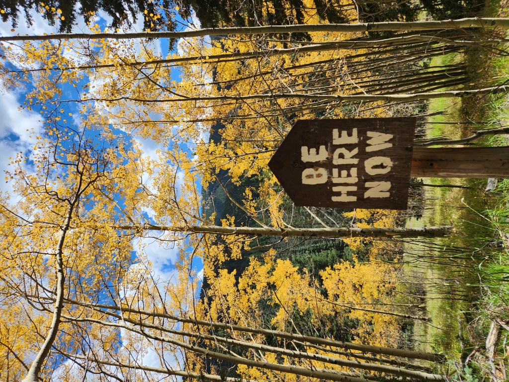 Be Here Now Sign in fall aspen foliage.